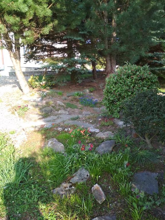 Apartment U Videmanů room 1